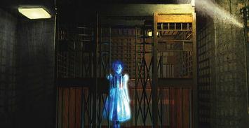 真实的捉鬼游戏在线观看,揭秘真实捉鬼游戏惊心动魄的在线直播